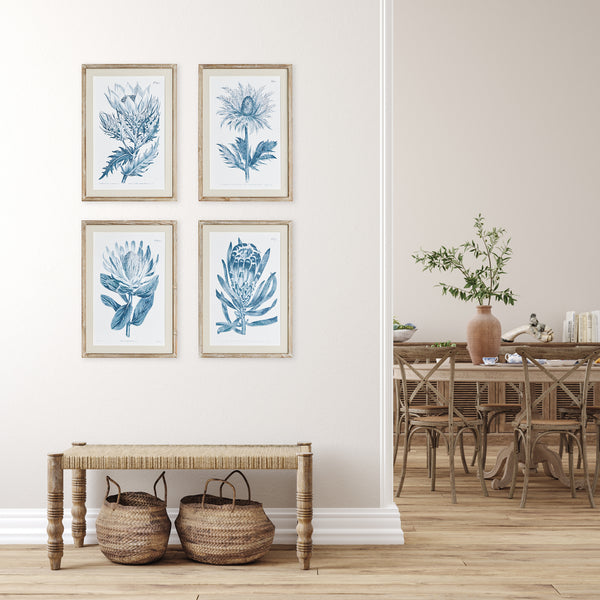 Napa Home & Garden Indigo Protea Prints - Set of 4