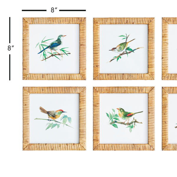Napa Home & Garden Songbird Petite Prints - Set of 6