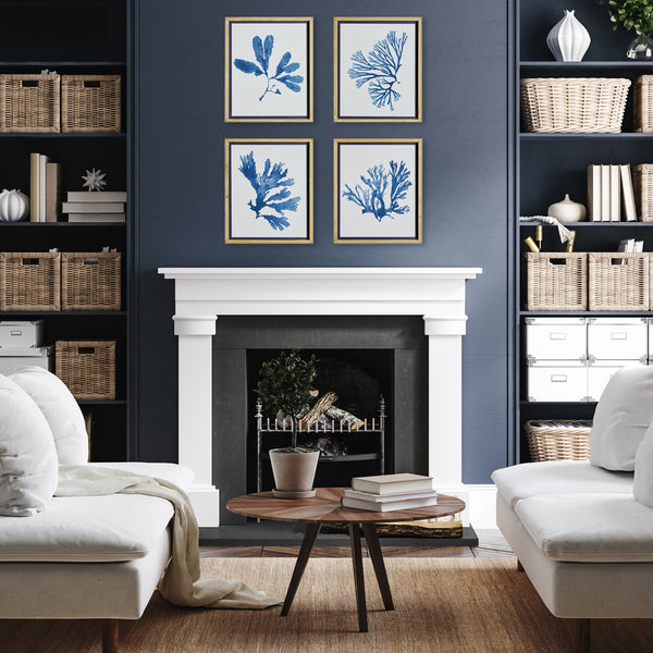 Napa Home & Garden Indigo Seaweed Prints - Set of 4