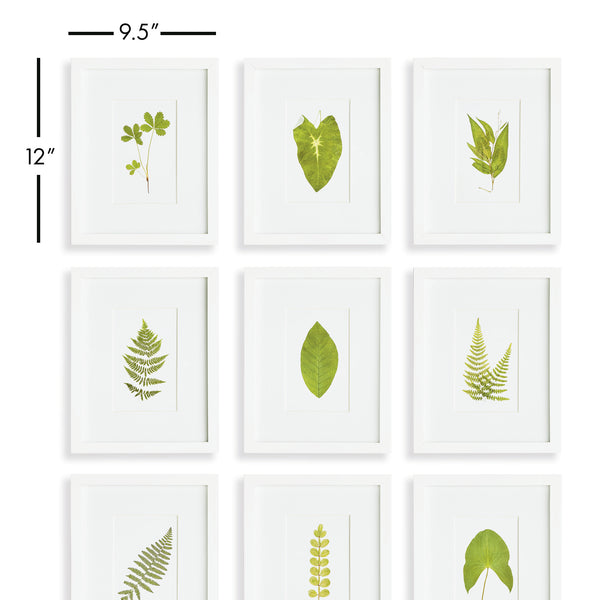 Napa Home & Garden Green Leaf Petite Prints - Set of 9