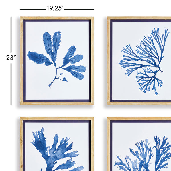 Napa Home & Garden Indigo Seaweed Prints - Set of 4