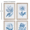 Napa Home & Garden Indigo Protea Prints - Set of 4