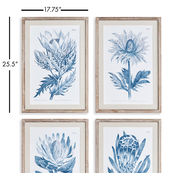 Napa Home & Garden Indigo Protea Prints - Set of 4
