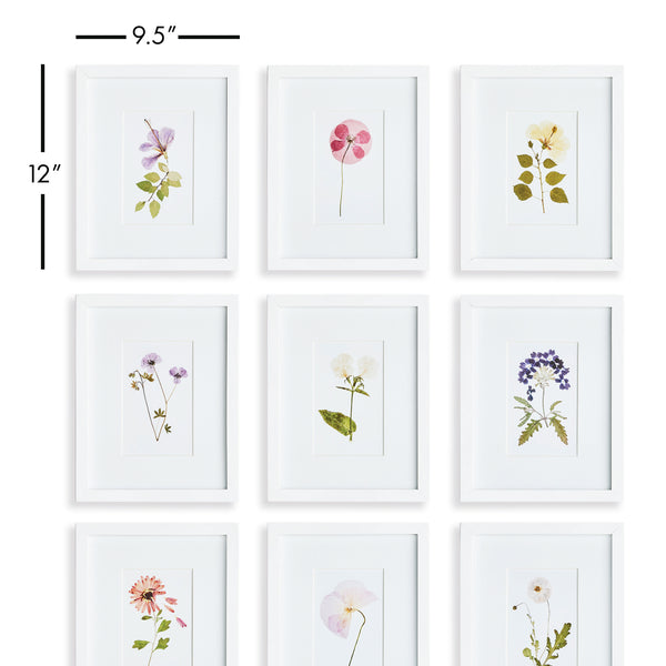 Napa Home & Garden Mountain Flower Petite Prints - Set of 9