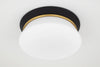 Mitzi Cath Flush Mount