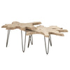 Essentials For Living Drift Nesting Coffee Table