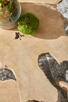 Essentials For Living Drift Nesting Coffee Table