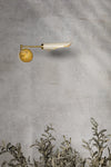 Mitzi Harperrose Wall Sconce