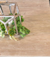 Essentials For Living Plaza Extension Dining Table