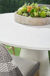 Essentials For Living Tapestry Outdoor Dining Chair - Set of 2