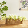 Napa Home & Garden Joss Vase - SALE