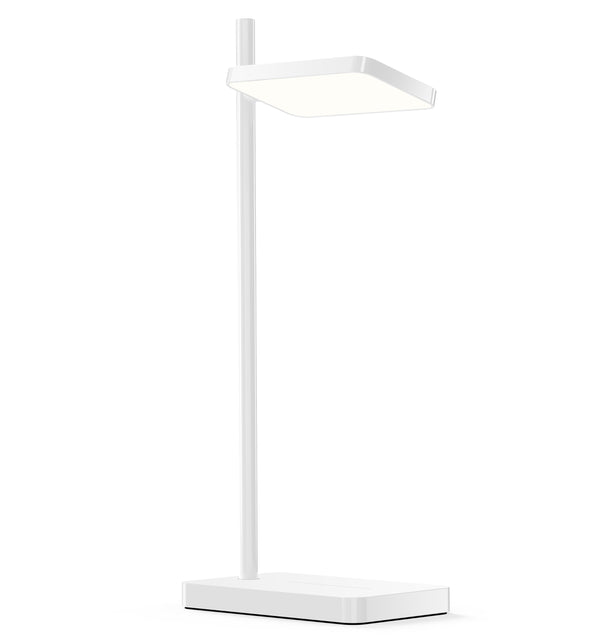 Pablo Talia Table Lamp