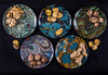 Siren Song Lawrence Dinner Plate - Set of Four 