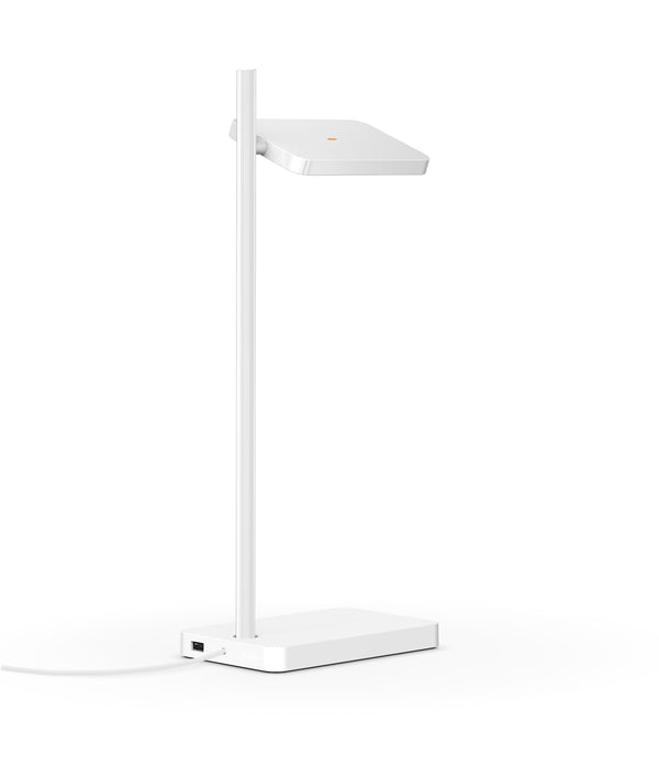 Pablo Talia Table Lamp