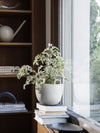 Ferm Living Speckle Pot 