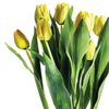 Napa Home & Garden Tulip Drop-In - 22"