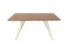 Tronk Williams Coffee Table - Square Small Walnut Green