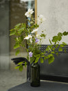 Skagerak Mira Armchair 