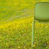 TOOU Holi Side Chair 