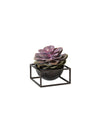 byLassen Bowl Centerpiece