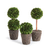 Napa Home & Garden Boxwood Mini Topiary Drop-ins - Set of 3