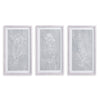 Napa Home & Garden Sketched Botanical Prints - Set Of 3