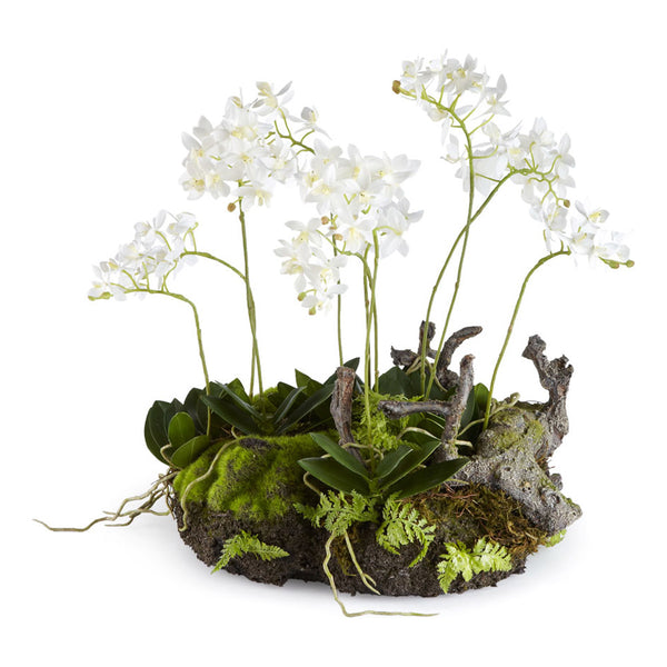 Napa Home & Garden Mini Dendrobium w/ Rustic Drop-In - 16"