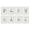 Napa Home & Garden Flowers In Bloom Petite Prints - Set Of 8