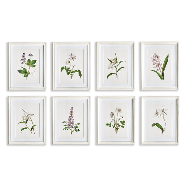 Napa Home & Garden Flowers In Bloom Petite Prints - Set Of 8