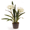 Napa Home & Garden Agapanthus Drop-In