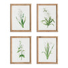 Napa Home & Garden Garden Bloom Prints - Set of 4