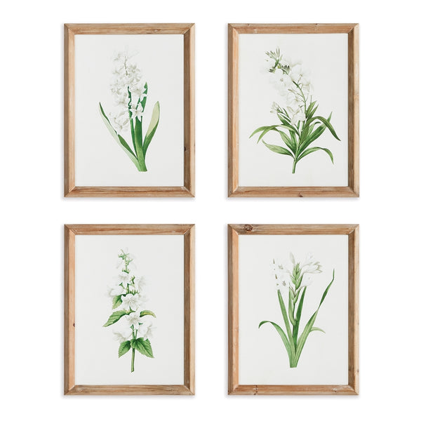 Napa Home & Garden Garden Bloom Prints - Set of 4