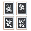 Napa Home & Garden Monochrome Botanical Prints - Set of 4