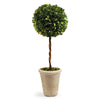 Napa Home & Garden Boxwood Single Sphere Topiary - 23.25”