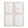 Napa Home & Garden Blush Botanical Study - Set Of 4