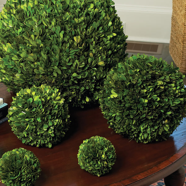 Napa Home & Garden Boxwood Ball