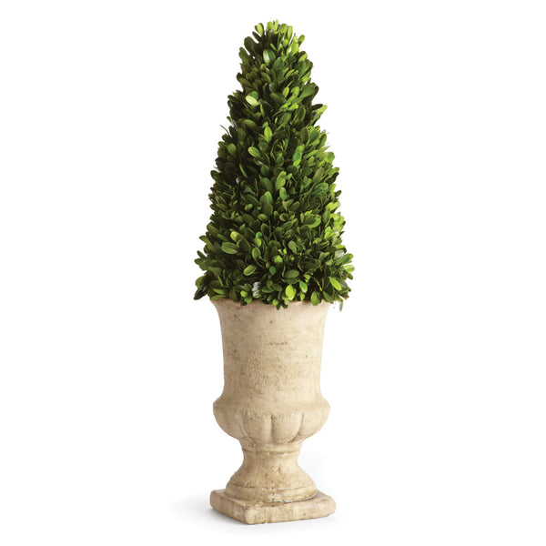 Napa Home & Garden Boxwood Cone Topiary in Urn - 24"