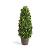 Napa Home & Garden Boxwood Cone Topiary Drop-in