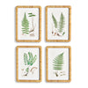 Napa Home & Garden Forest Fern Prints - Set Of 4