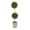 Napa Home & Garden Barclay Butera Faux Boxwood Topiary Potted