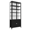 etúHOME 2-Door Glass Storage Cabinet