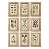 Napa Home & Garden Framed Antibes Prints - Set of 9