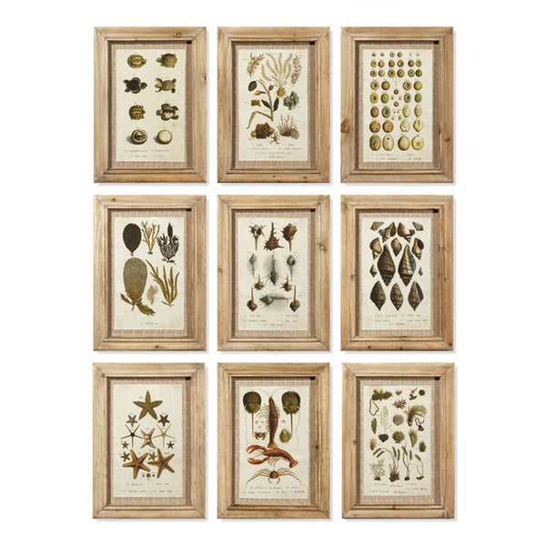 Napa Home & Garden Framed Antibes Prints - Set of 9