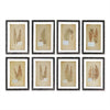 Napa Home & Garden Framed Vintage Fern Prints - Set of 8