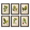 Napa Home & Garden Arborist Framed Prints - Set of 6