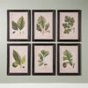 Napa Home & Garden Arborist Framed Prints - Set of 6