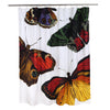 Thomas Paul Metamorphosis Shower Curtain