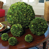 Napa Home & Garden Boxwood Ball - 16"