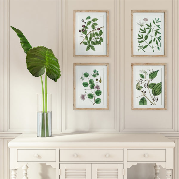 Napa Home & Garden Verdant Branch Prints - Set of 4
