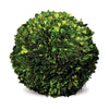 Napa Home & Garden Boxwood Ball